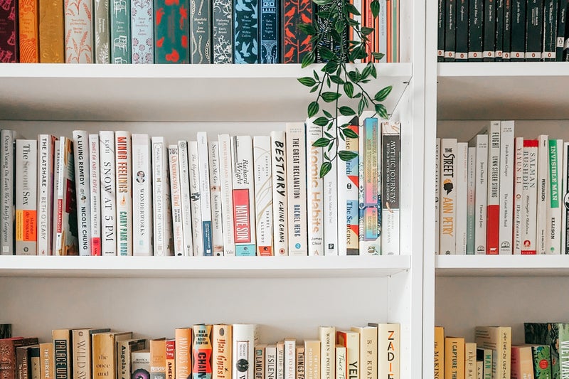 What is Bookshelf Wealth? (And How Can I Achieve it on a Budget?)