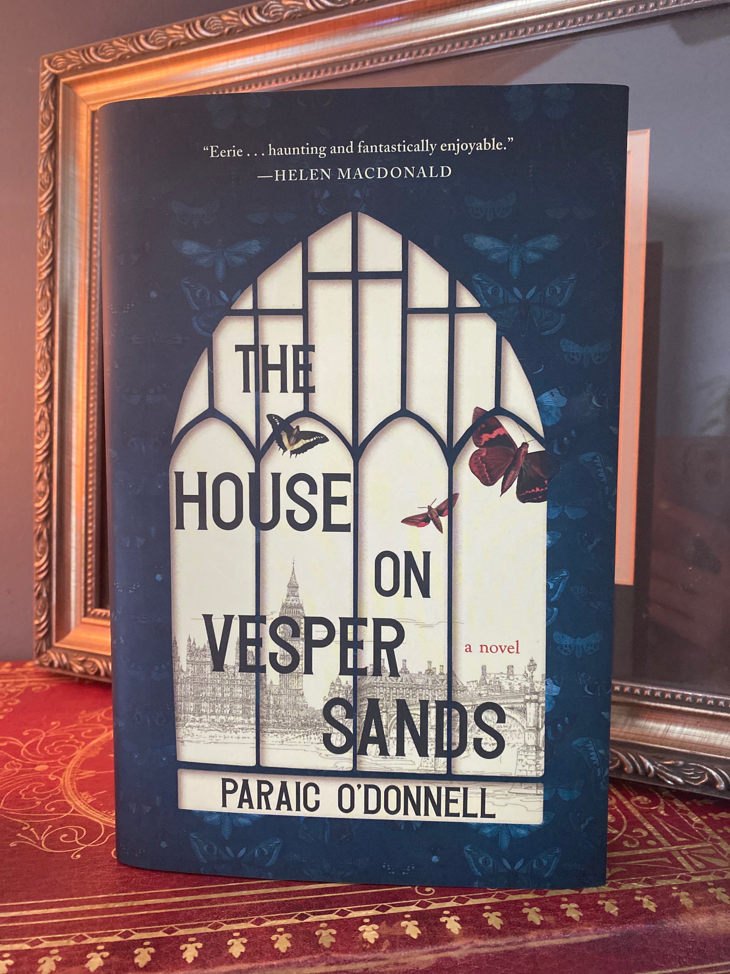 Sale image for 3960f5f4-f44a-4e49-b74a-7c3652792f90-00s8WEpYinNsLRtHq3q0oXMGiSw2