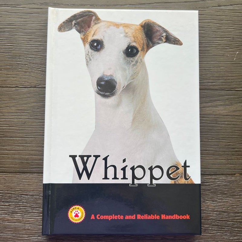 Whippet