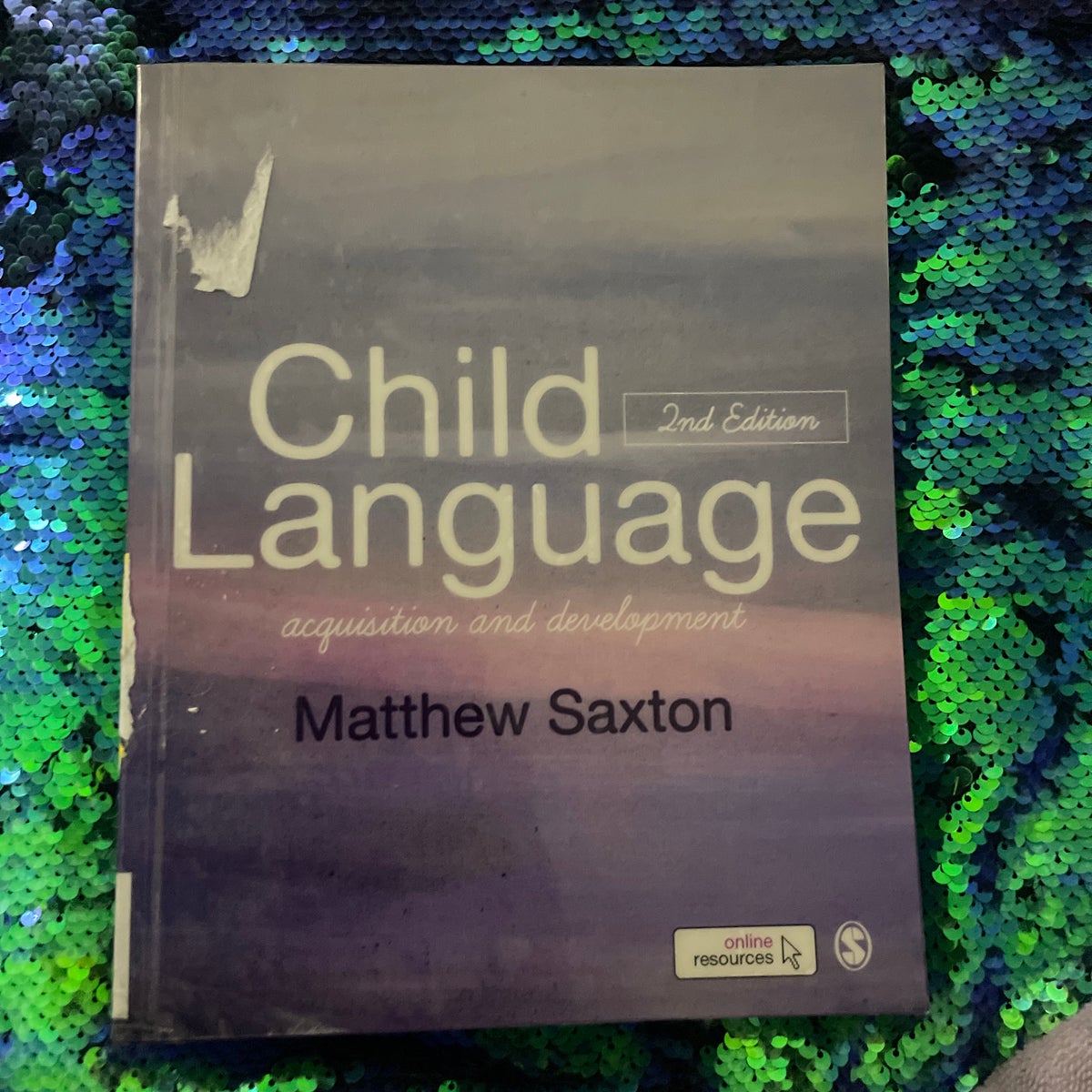 Child Language by Matthew Saxton, Paperback | Pangobooks