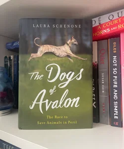 The Dogs of Avalon