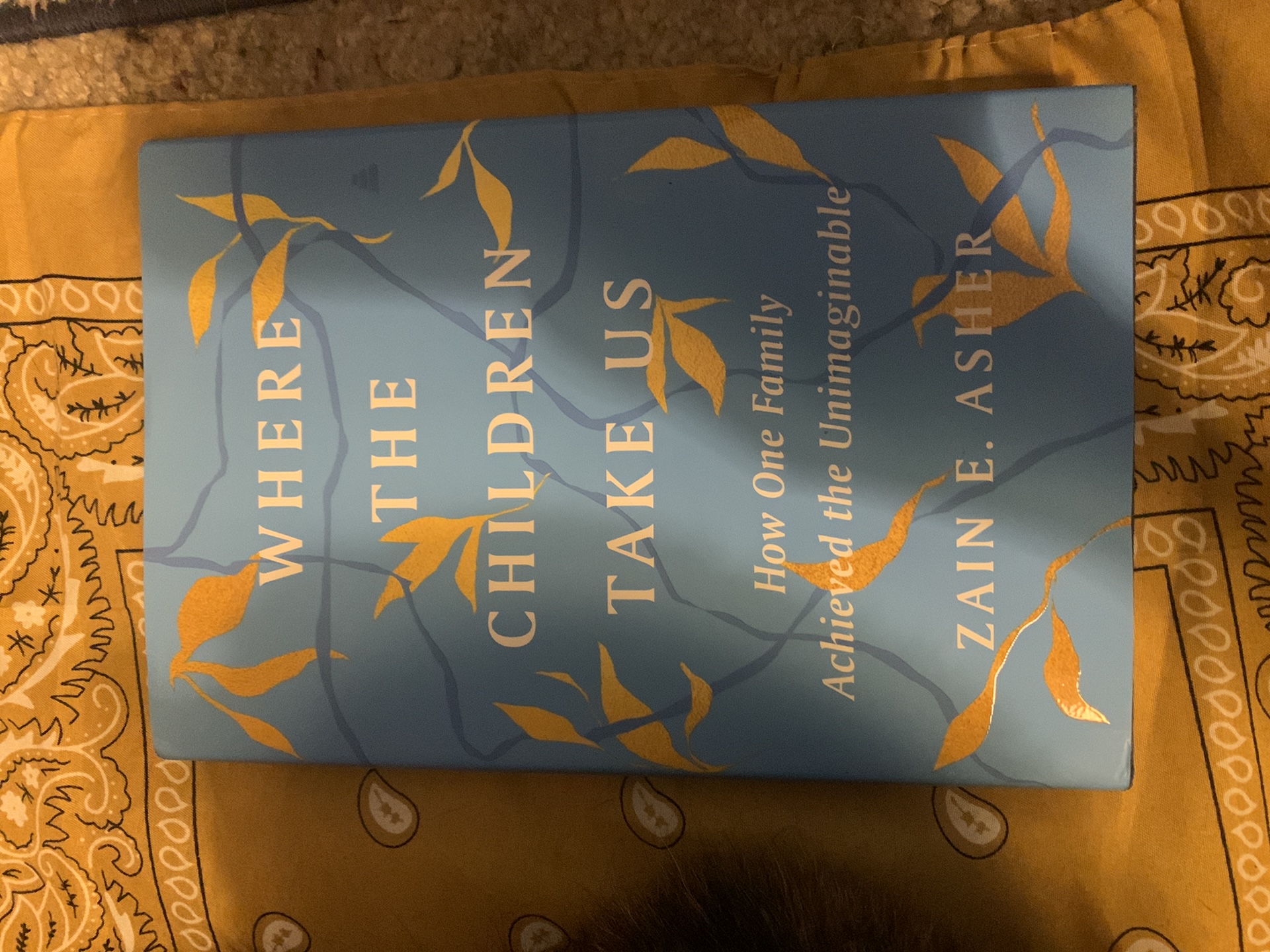 Sale image for bf43ca09-f9a2-4e49-897e-ff90185b5b0a-0DqRVVDmS9TMiHKfE1UaAQ8px2c2