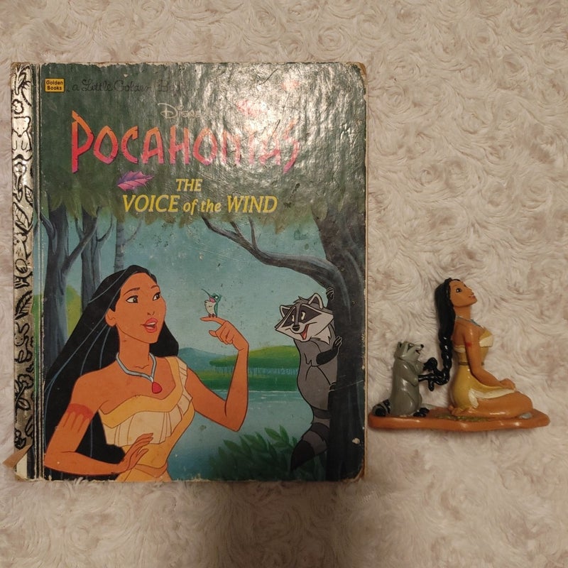 Pocahontas the voice of the wind