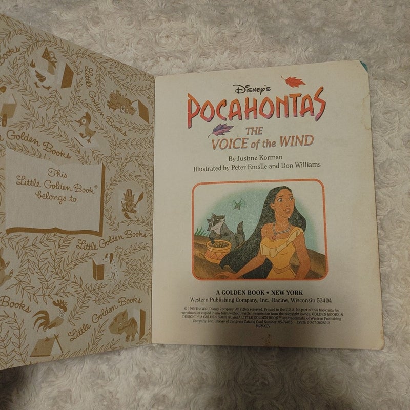 Pocahontas the voice of the wind