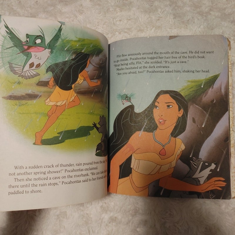 Pocahontas the voice of the wind