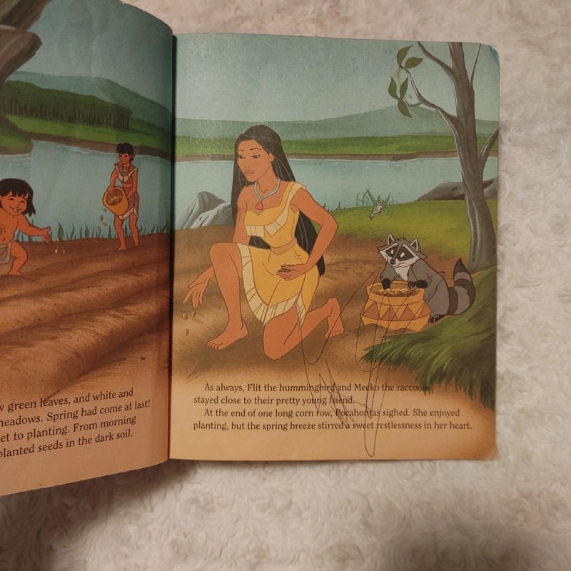 Pocahontas the voice of the wind