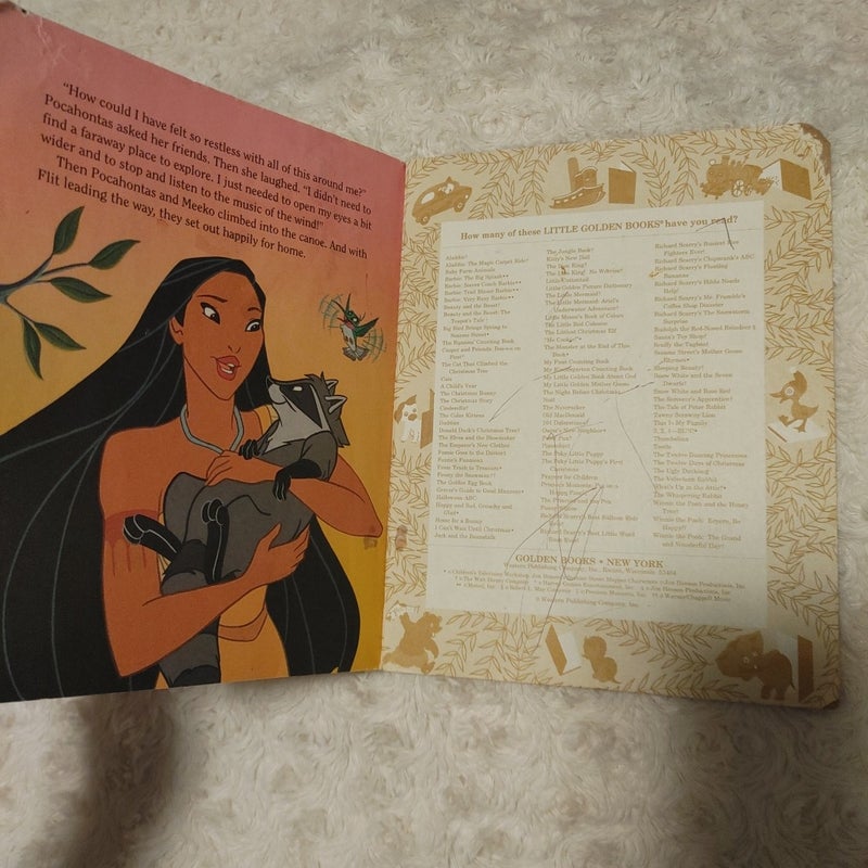 Pocahontas the voice of the wind