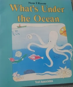 What's under the Ocean