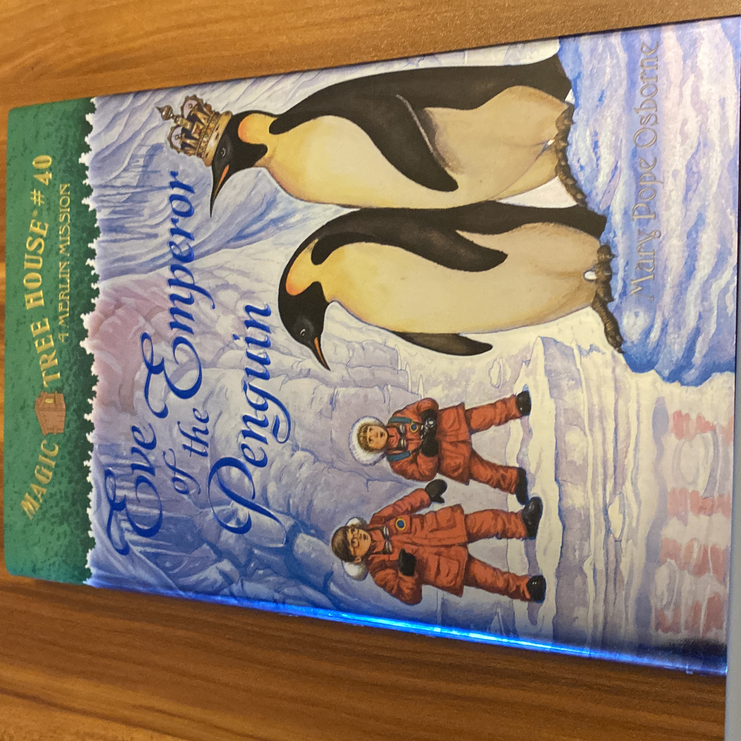 Eve of the Emperor Penguin