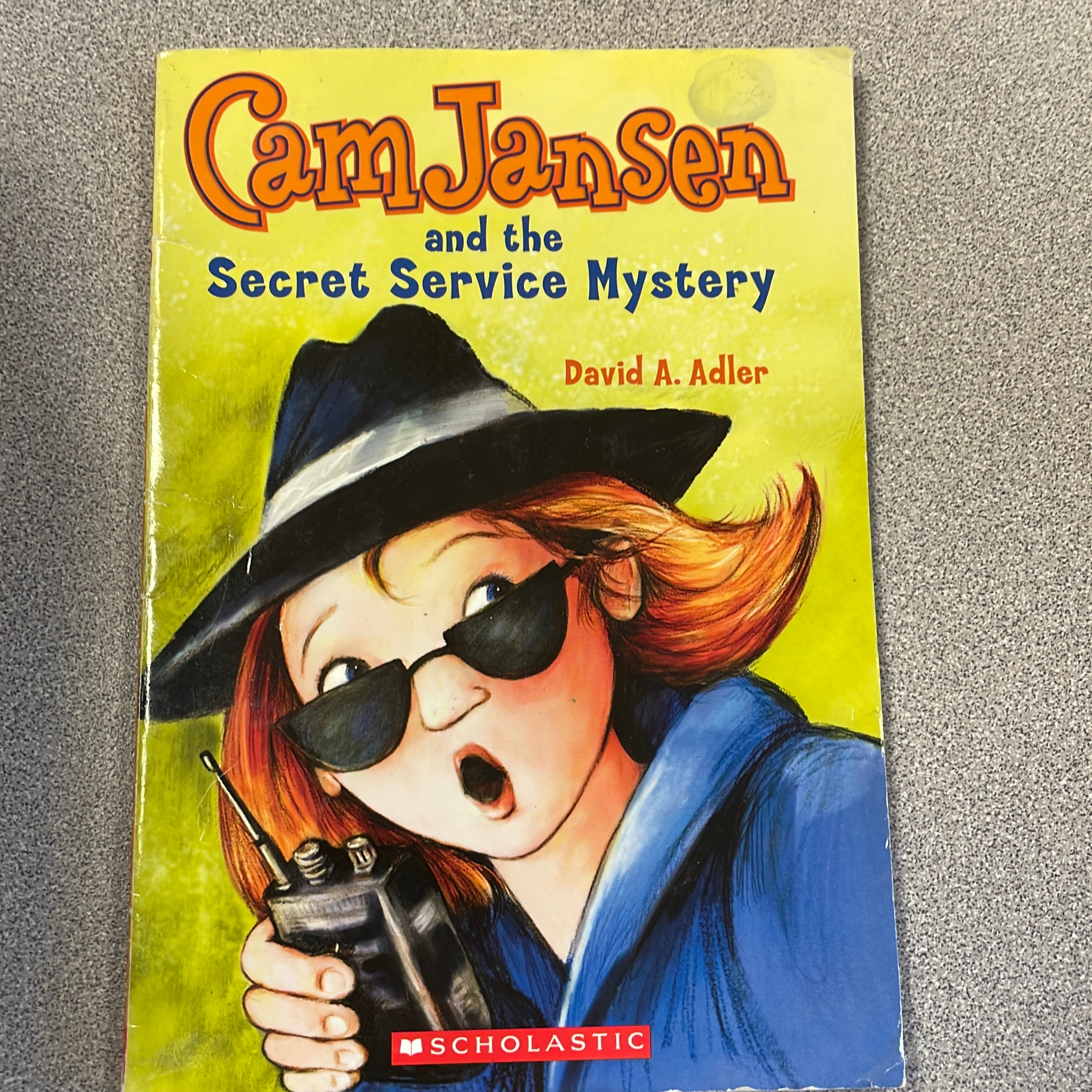 Cam Jansen and the Secret Service Mystery