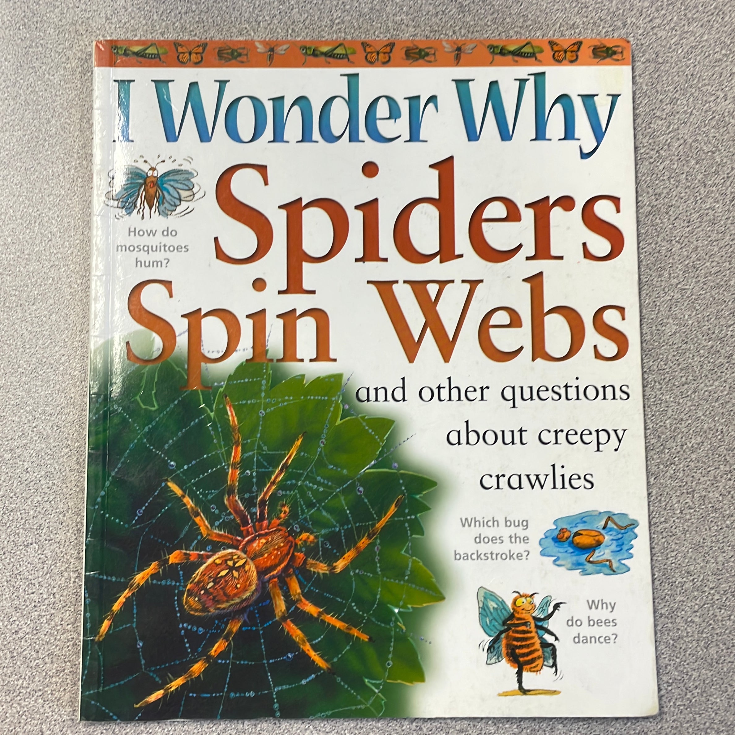 I Wonder Why Spiders Spin Webs