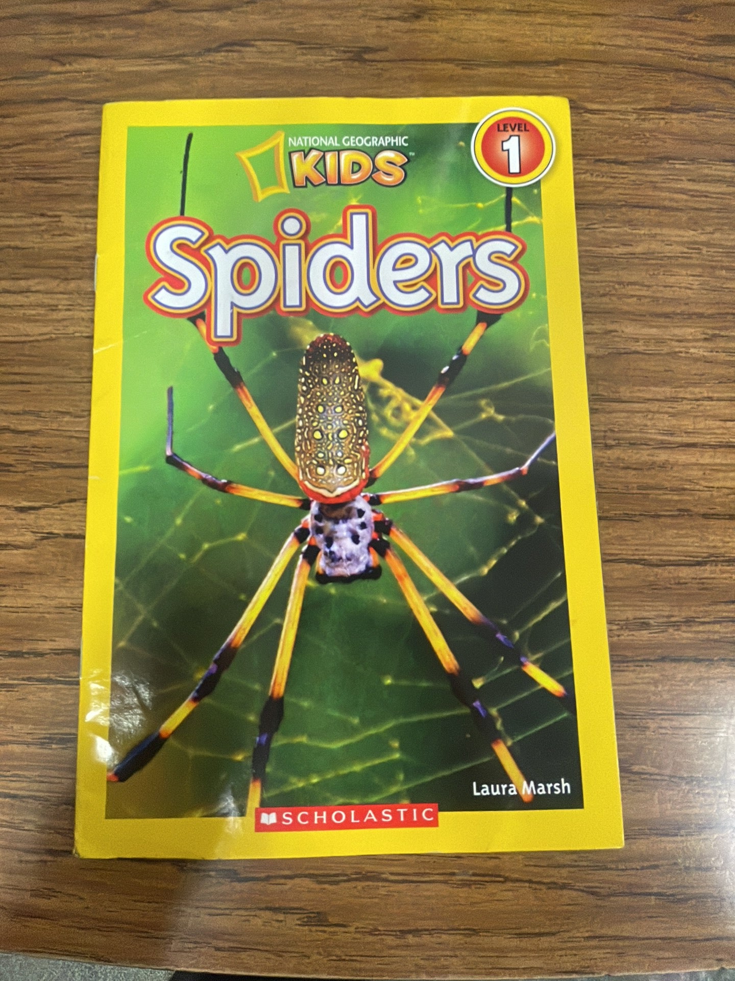 National Geographic Readers: Spiders