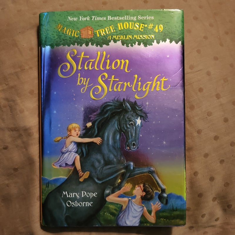 Stallion by Starlight