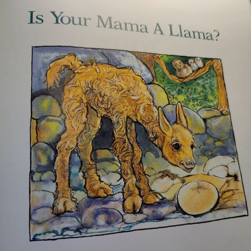 Is Your Mama a Llama?