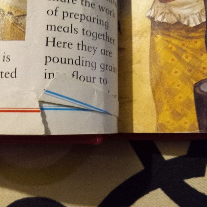 The kingfisher first encyclopedia 