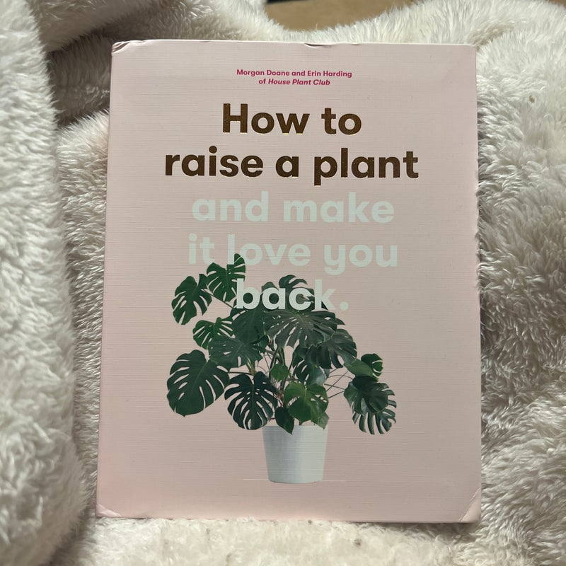 How to Raise a Plant