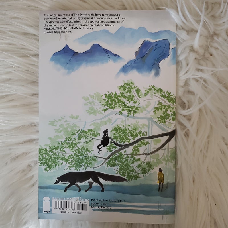 Mirror: the Mountain