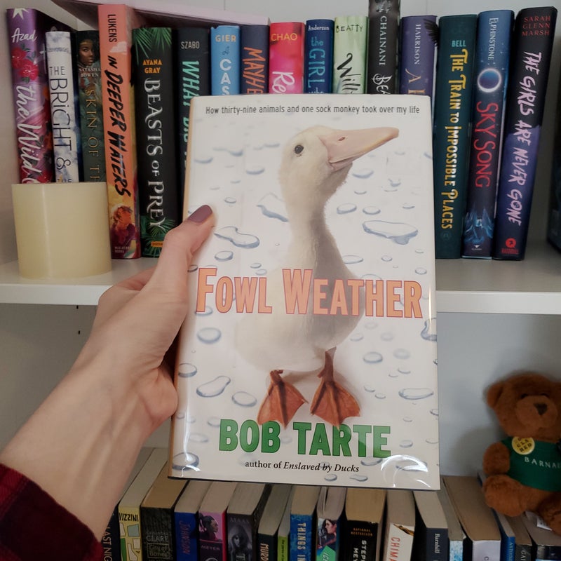 Fowl Weather