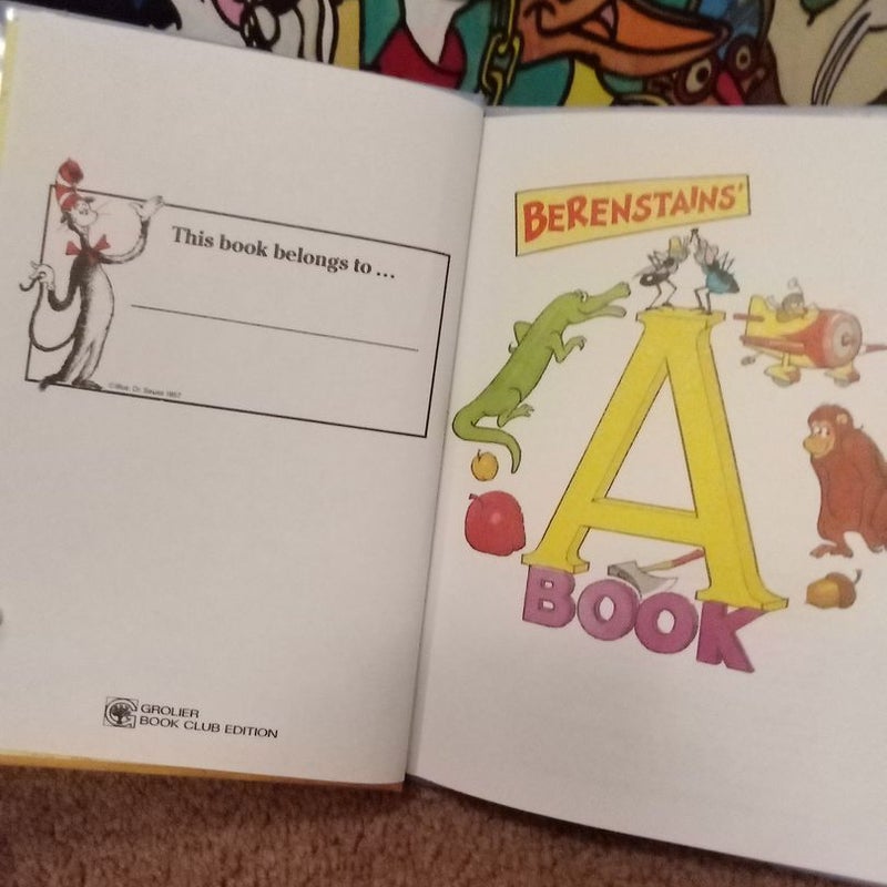 Berenstains' A Book