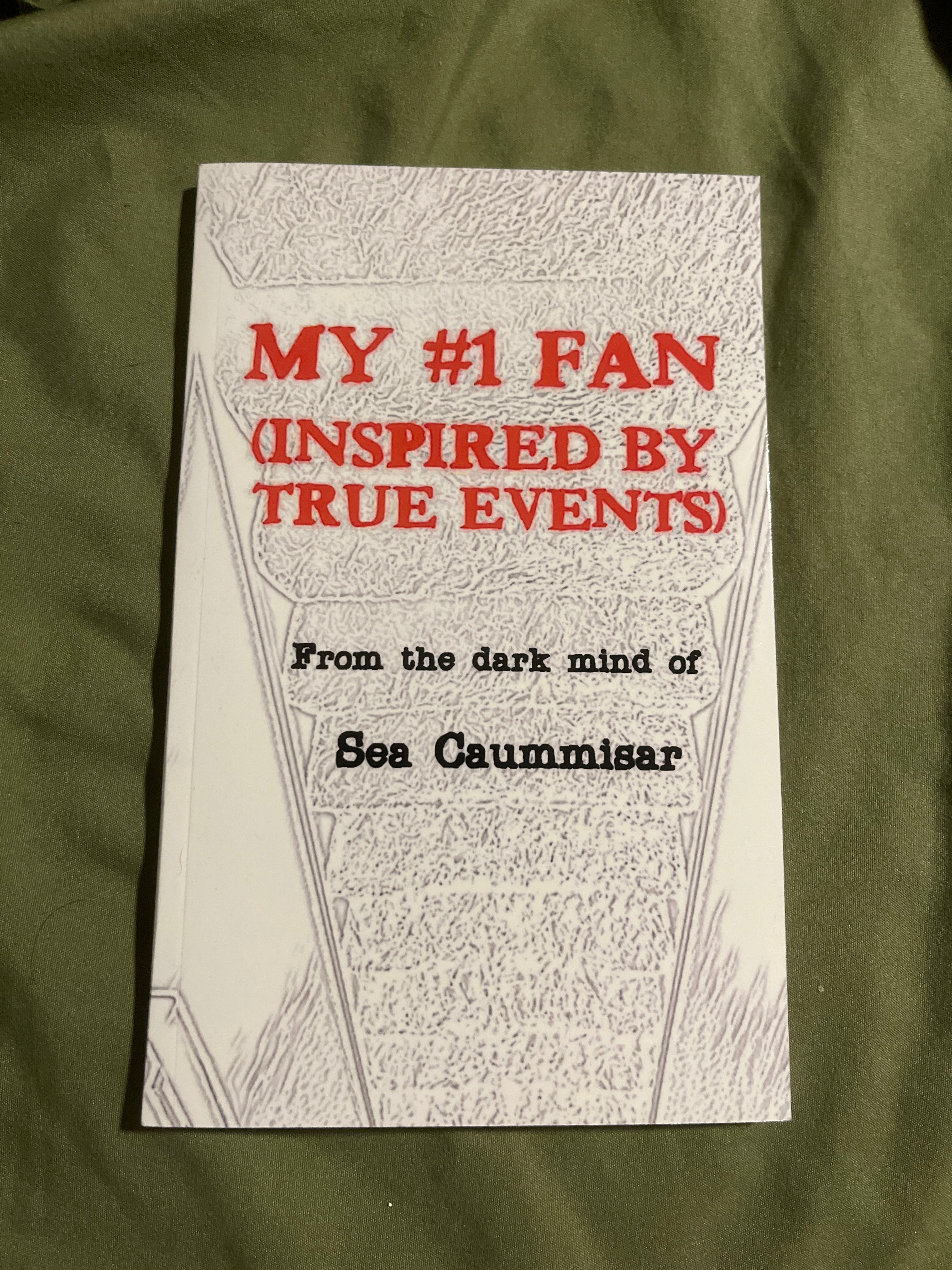 My #1 Fan (Inspired by True Events)