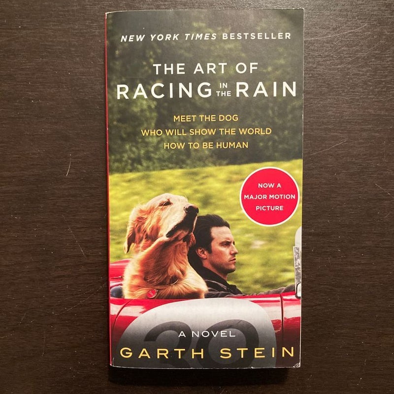 The Art of Racing in the Rain Movie Tie-In Edition