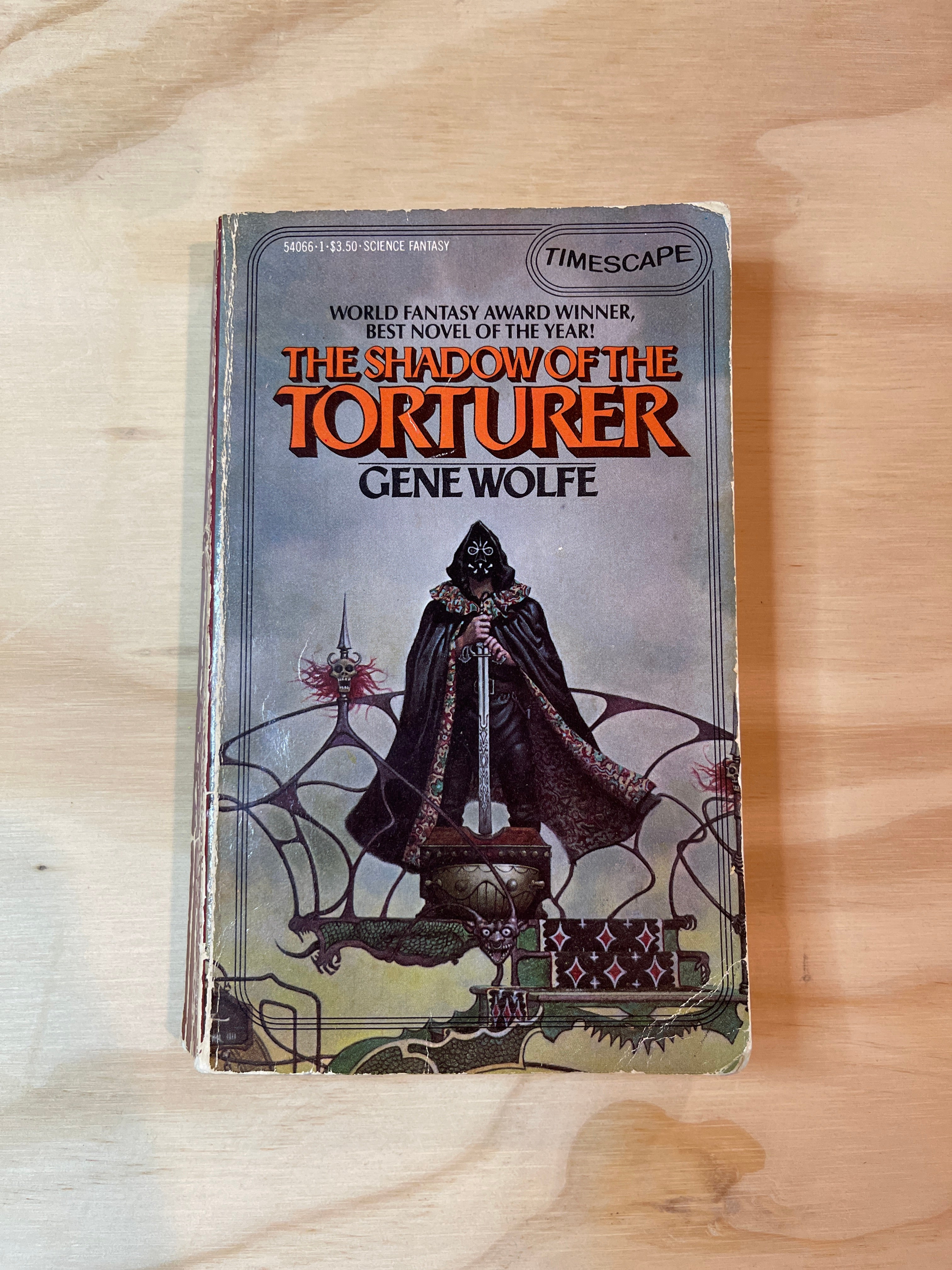 The Shadow of the Torturer