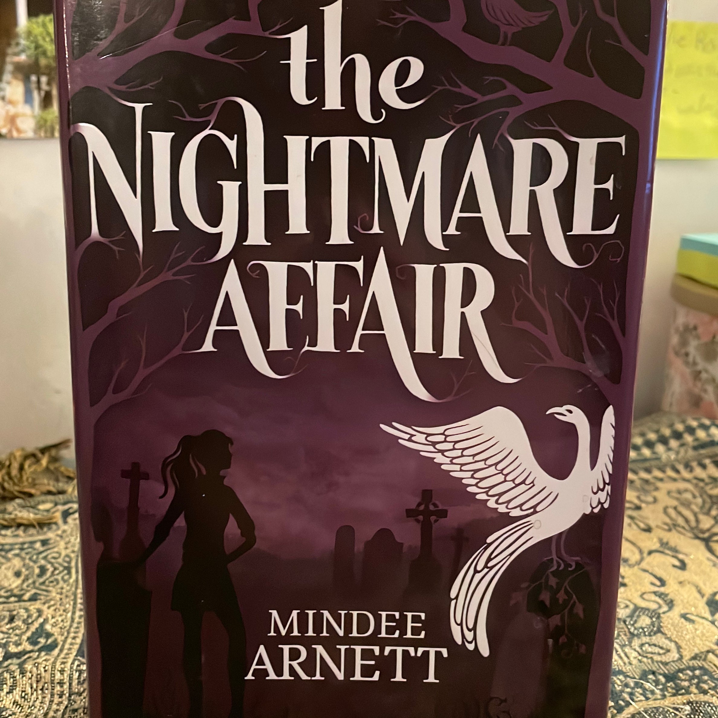 The Nightmare Affair