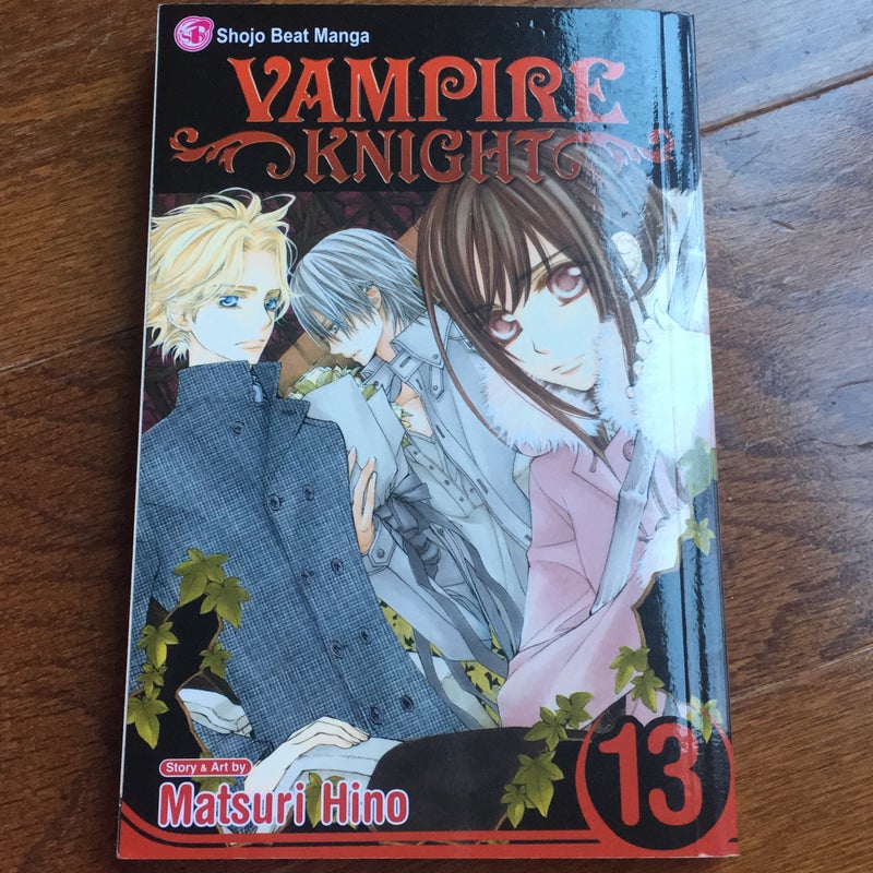 Vampire Knight, Vol. 13