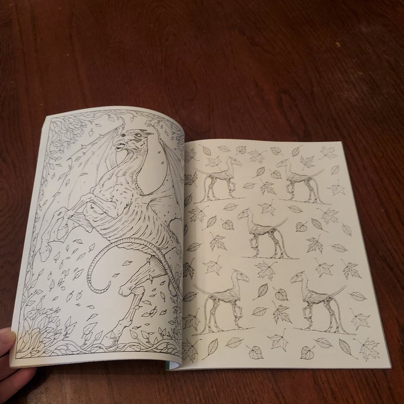 Harry Potter Magical Creatures Coloring Book
