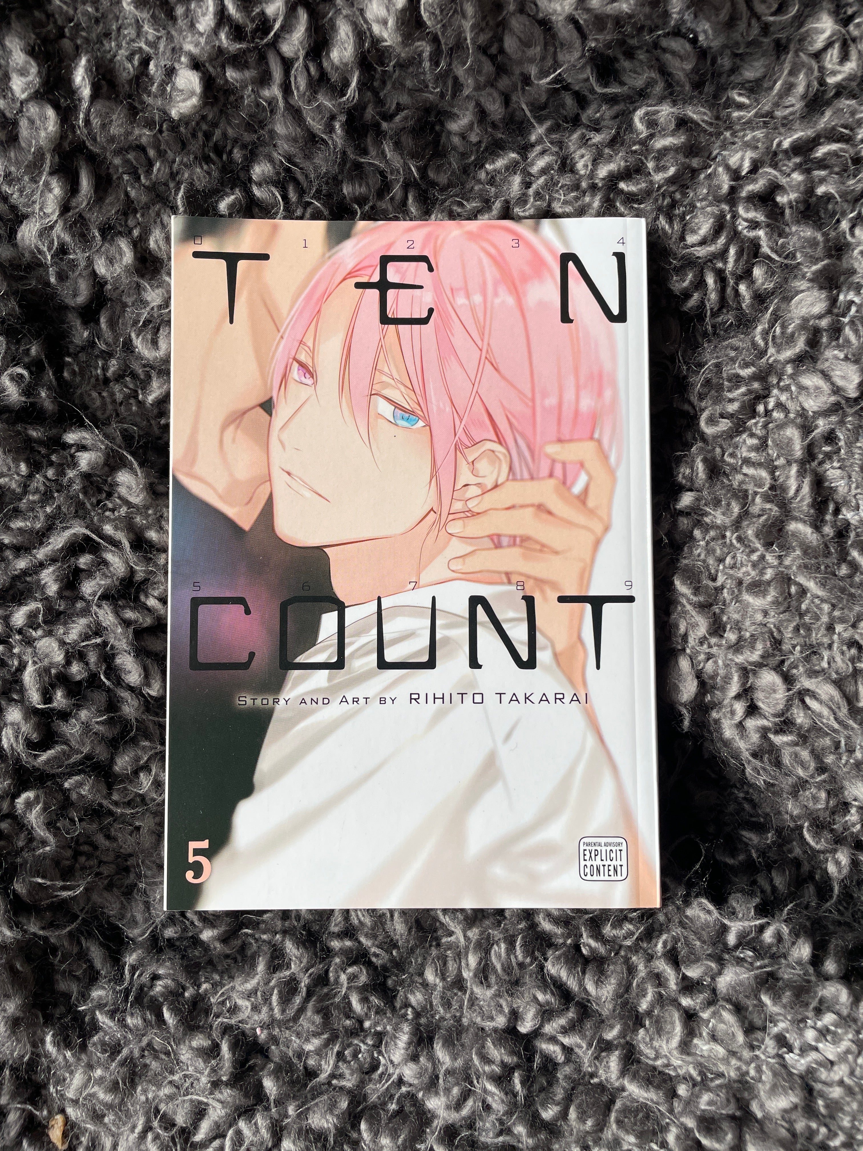 Ten Count, Vol. 5