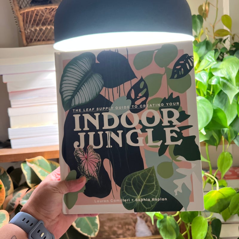 Leaf Supply Guide to Creating Your Indoor Jungle