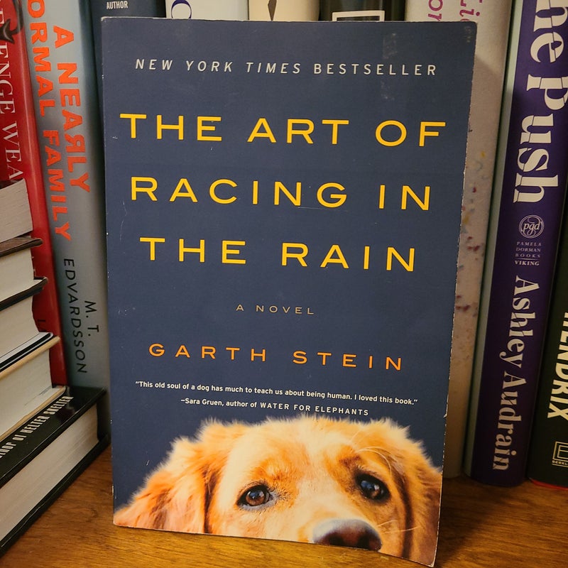 The Art of Racing in the Rain