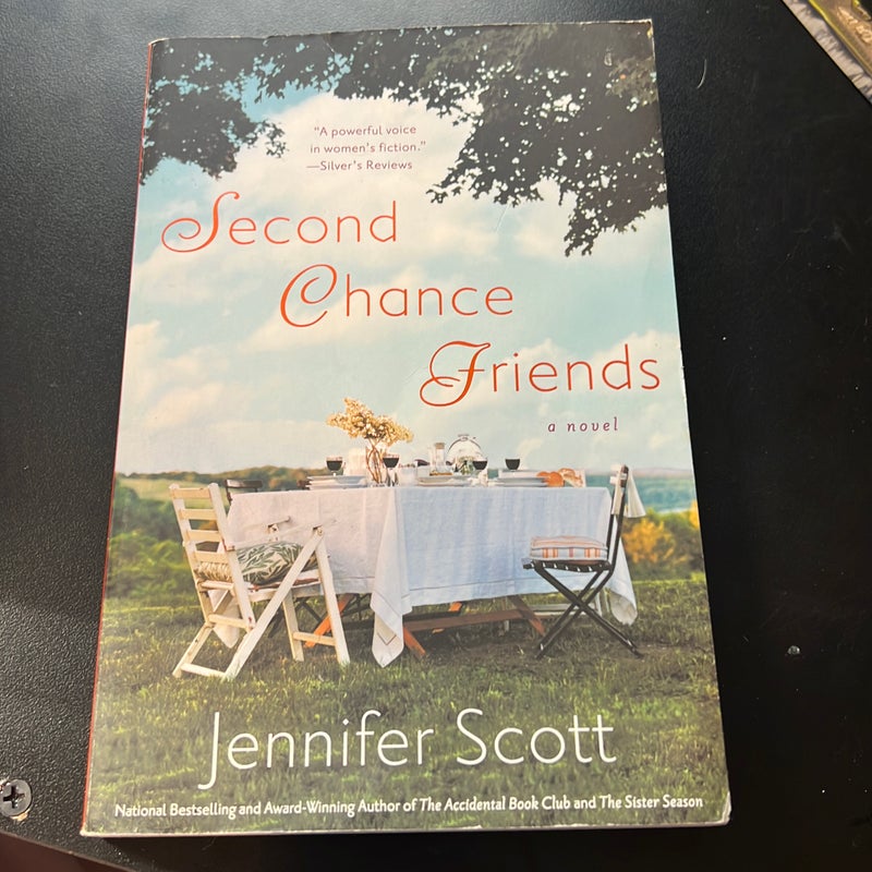 Second Chance Friends