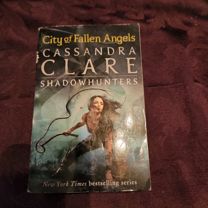 City of Fallen Angels