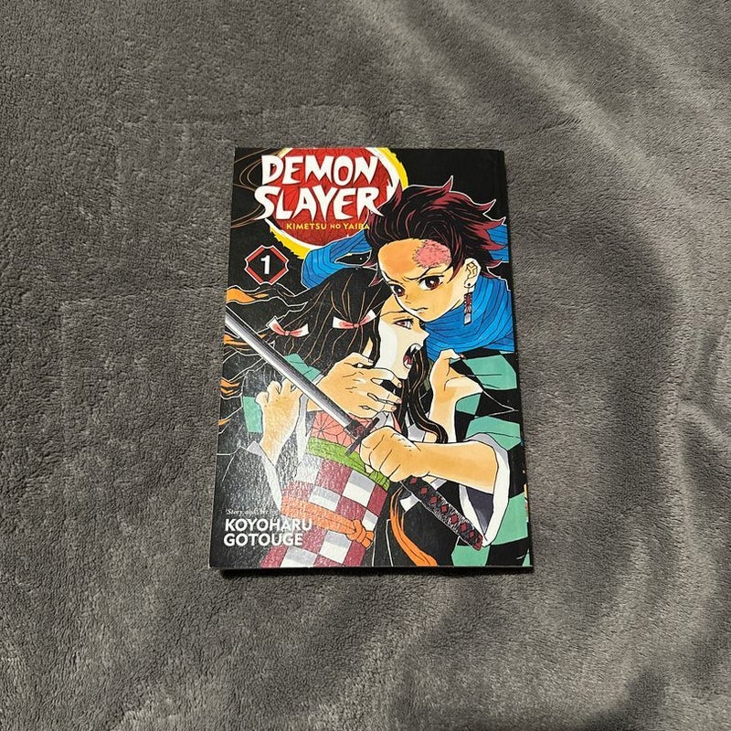 Demon Slayer: Kimetsu No Yaiba, Vol. 1