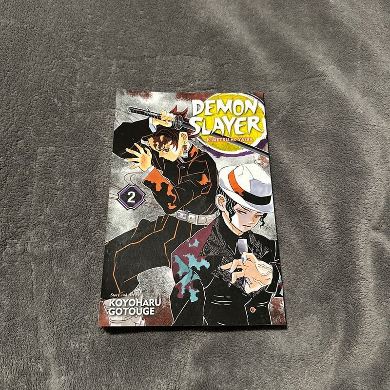 Demon Slayer: Kimetsu No Yaiba, Vol. 2