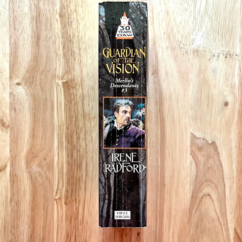 Guardian of the Vision 