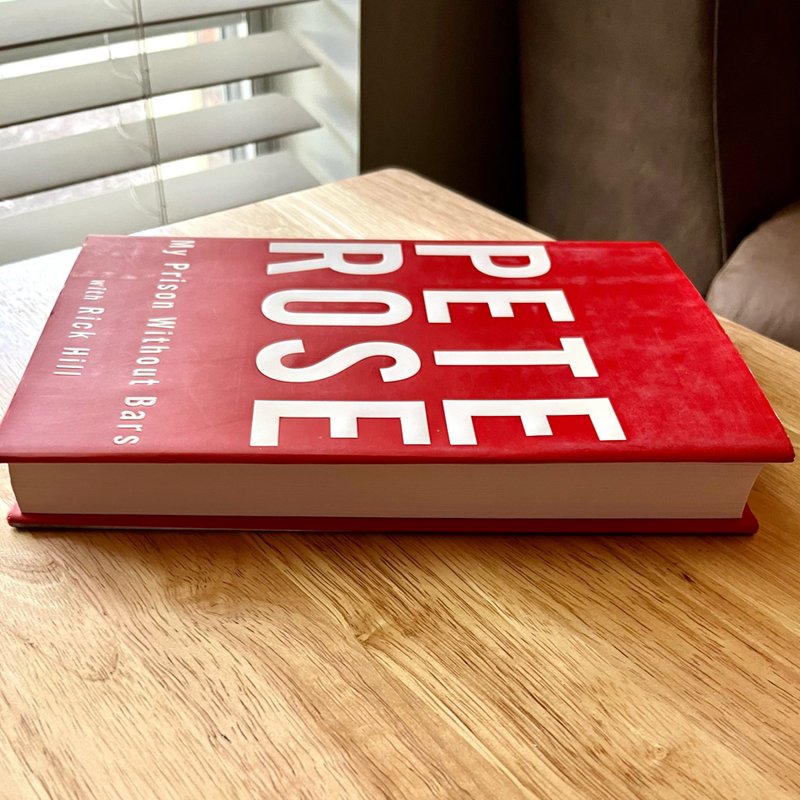 My Prison Without Bars