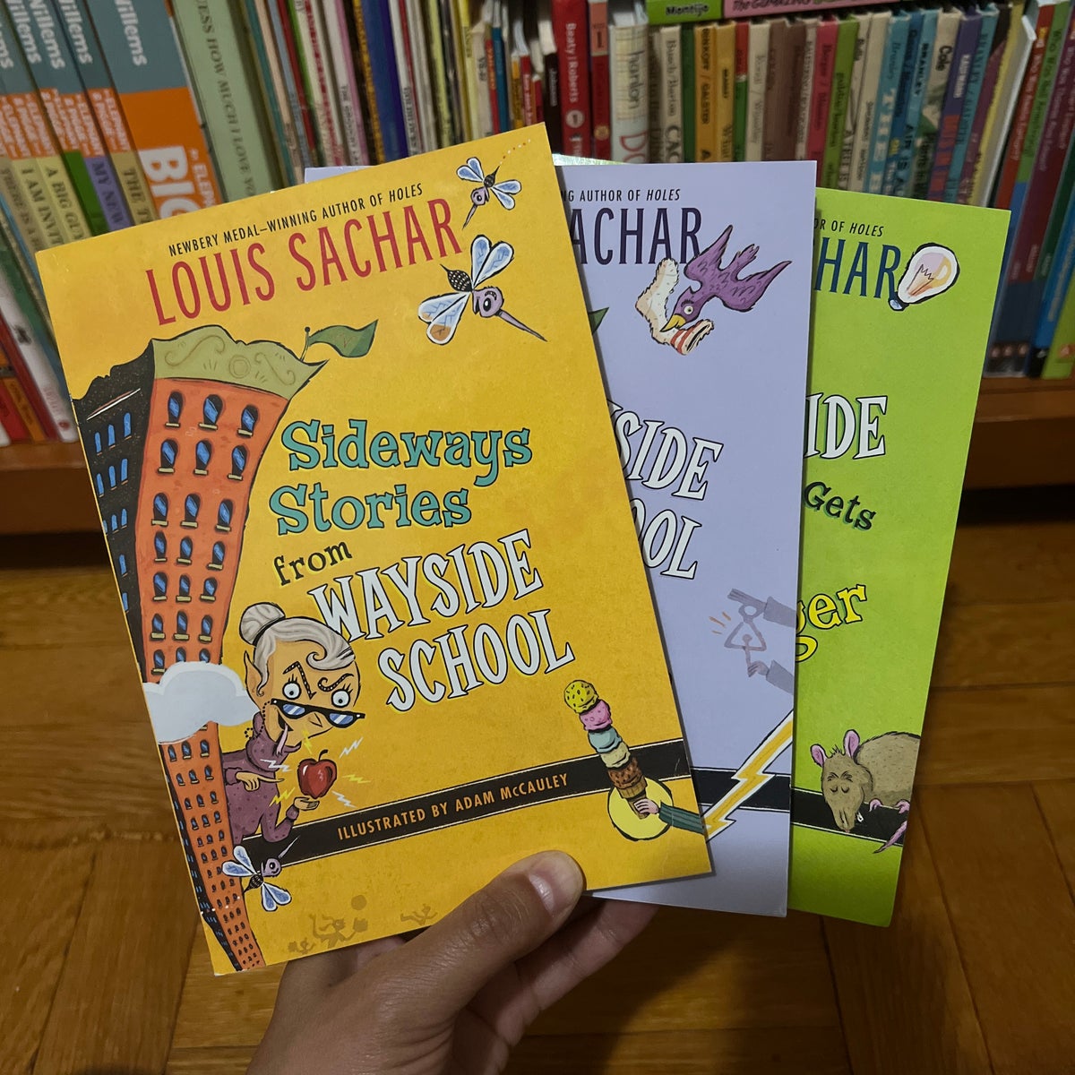Lot of 3 Books The Wayside School Collection Box Set Louis Sachar EUC