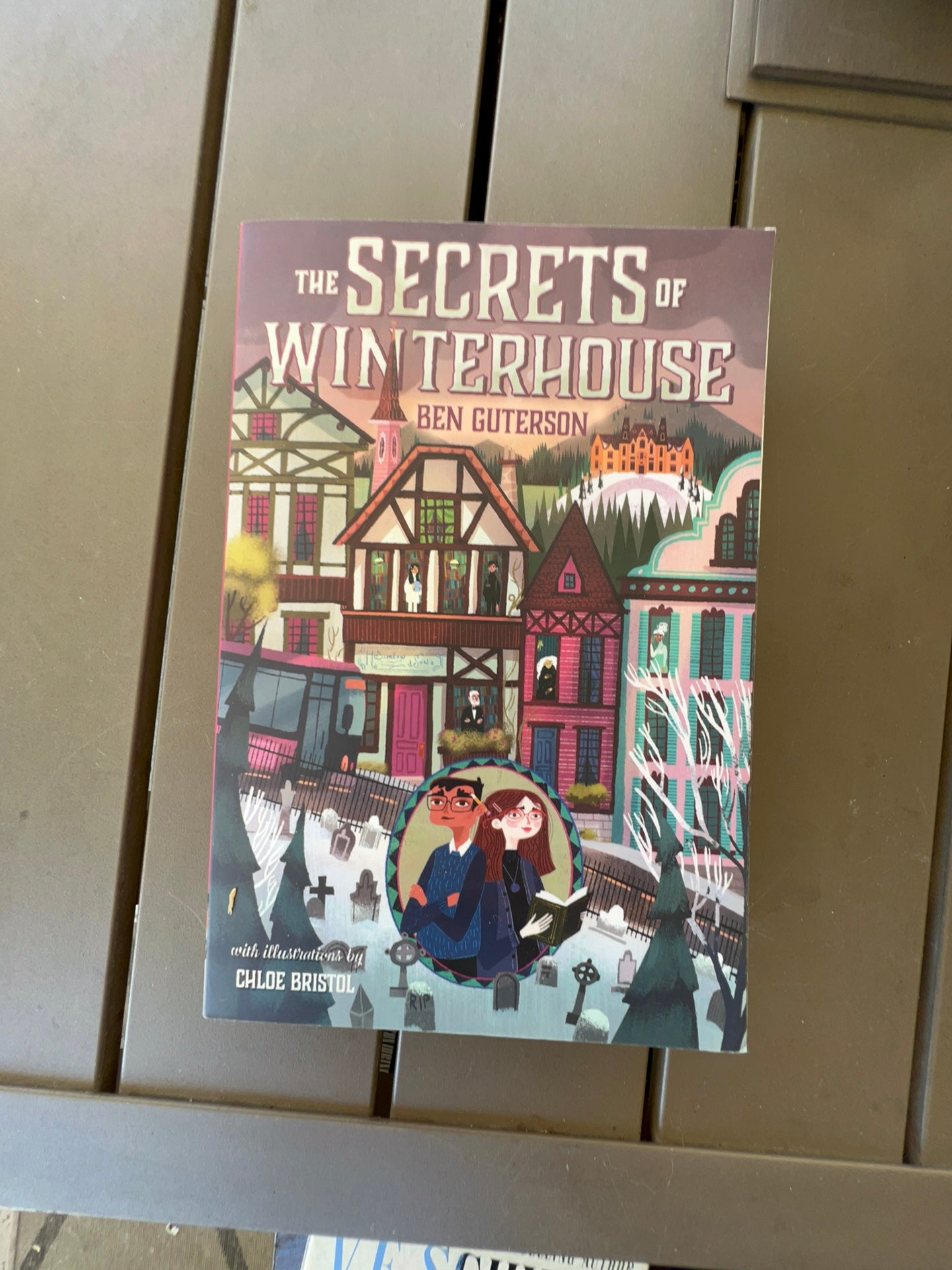 The Secrets of Winterhouse