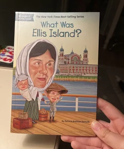 What Was Ellis Island?