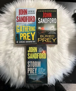 Set of 3 John Sandford - Lucas Davenport Novels