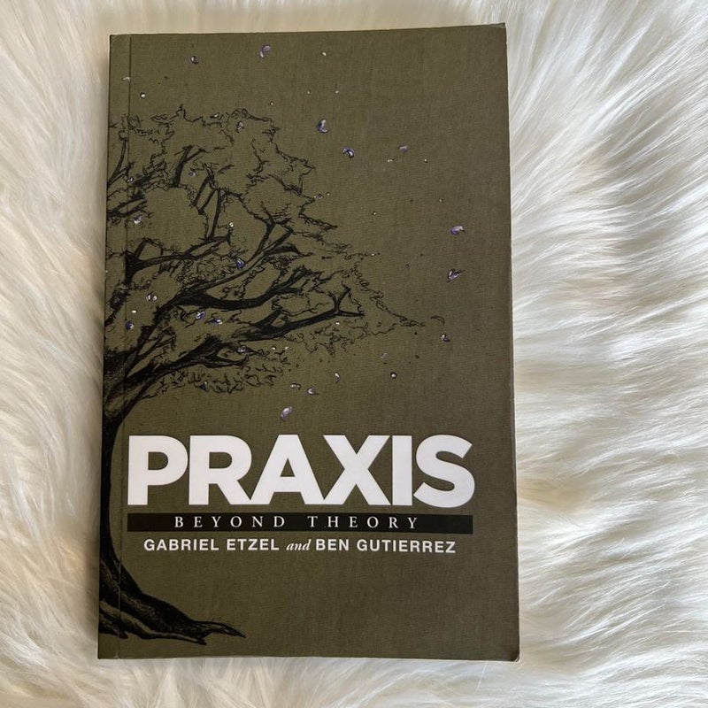 Praxis - Beyond Theory