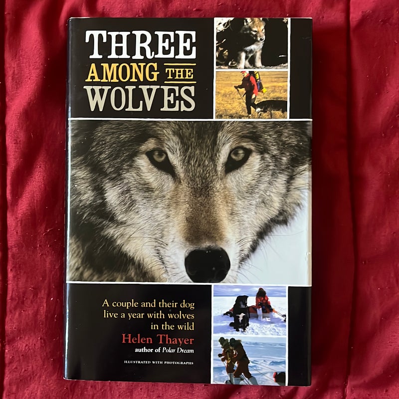 Three among the Wolves