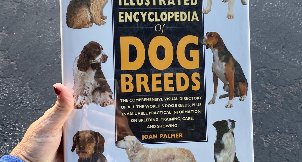 The illustrated encyclopedia store of dog breeds