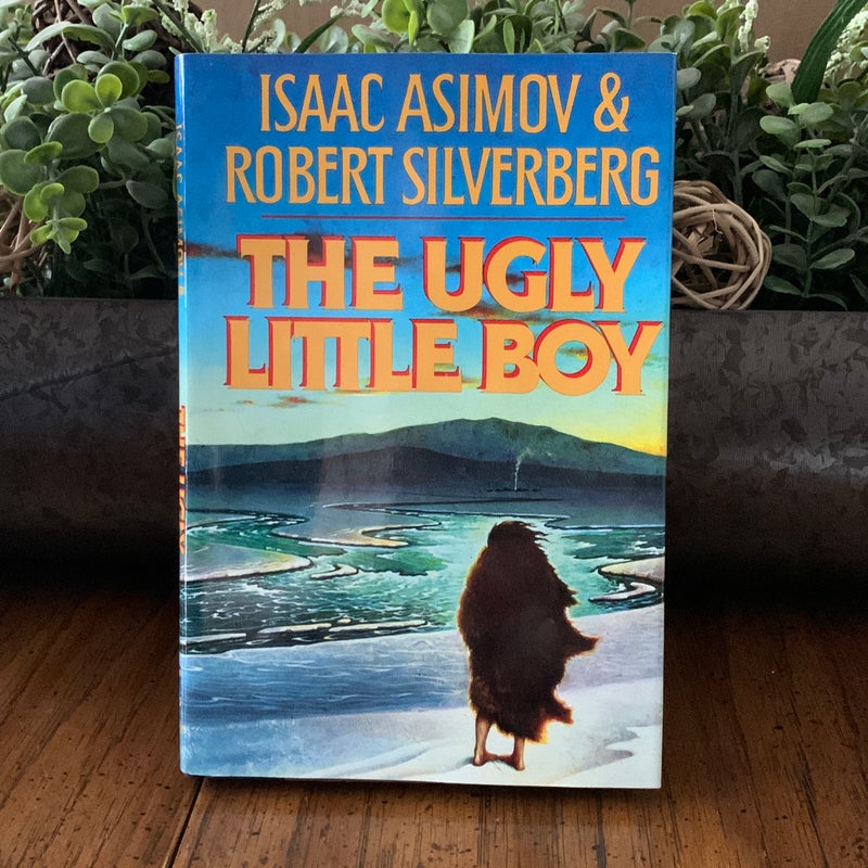 The ugly little boy