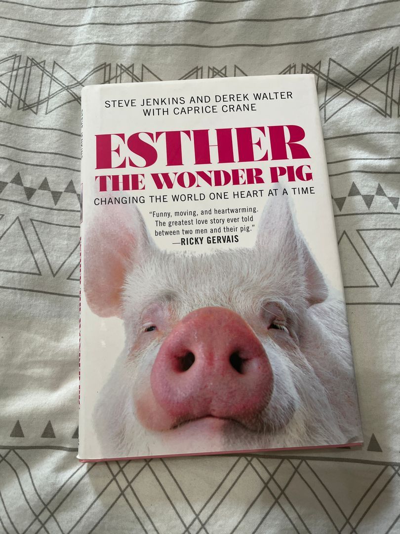 Esther the Wonder Pig