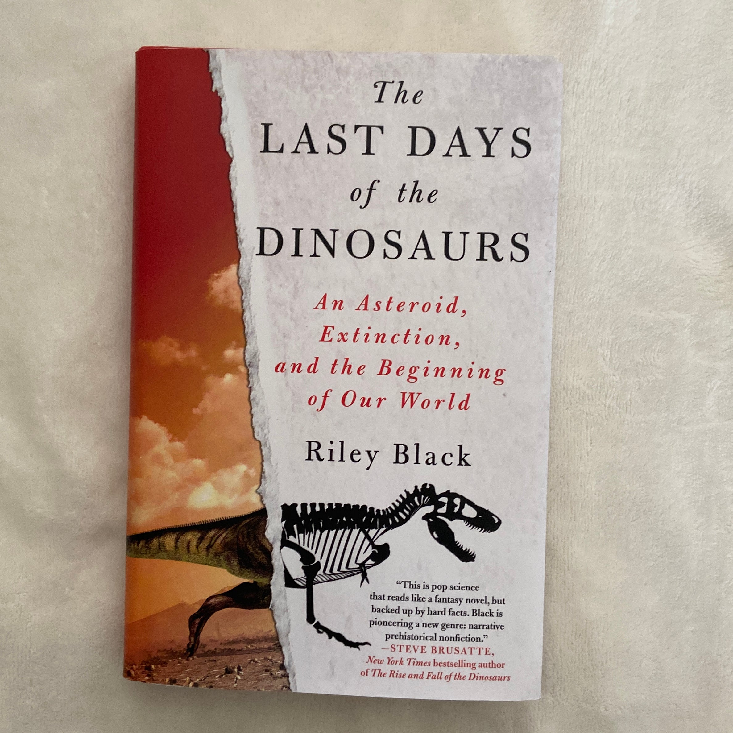 The Last Days of the Dinosaurs