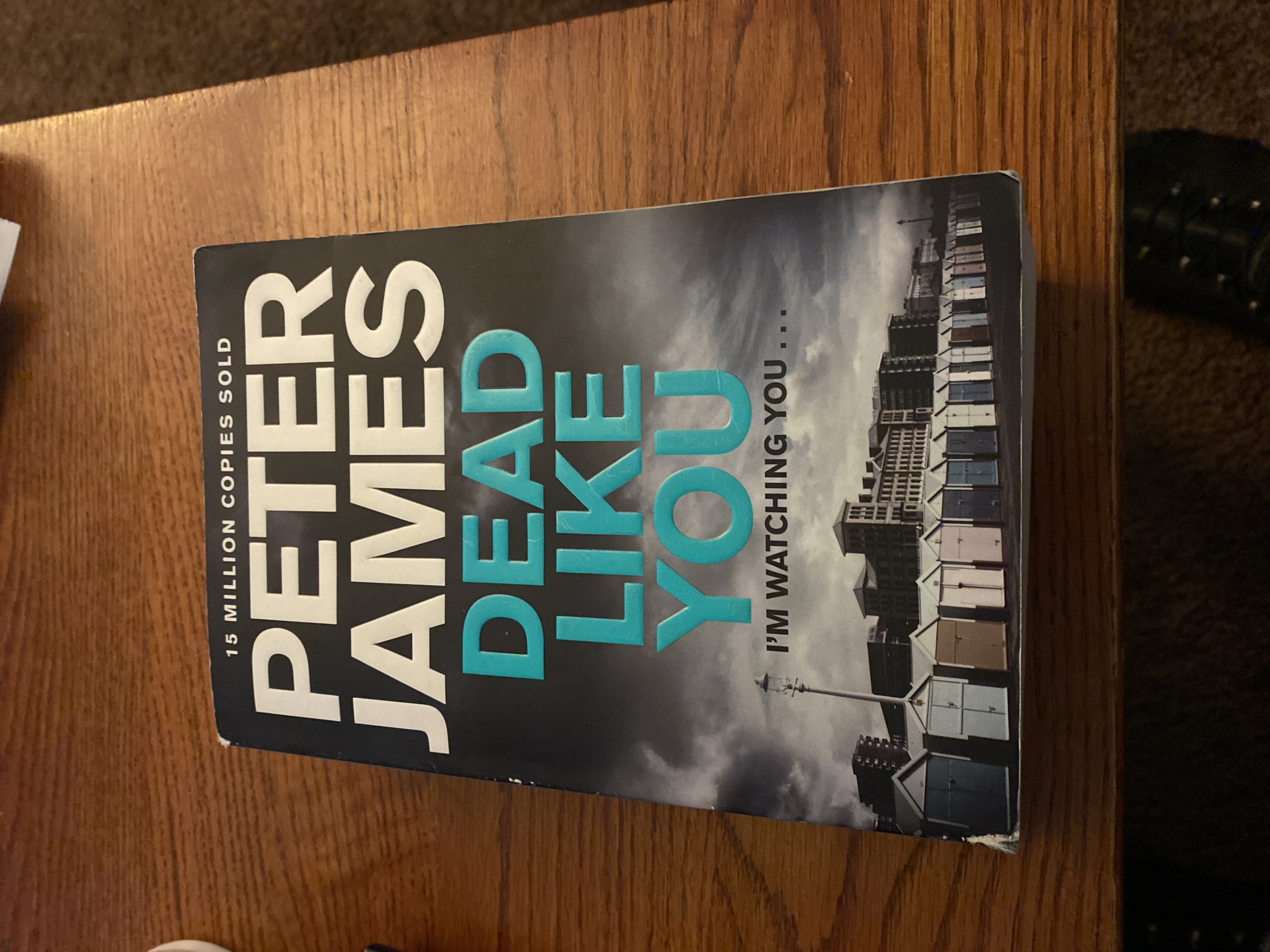 Dead Like You: a Roy Grace Novel 6