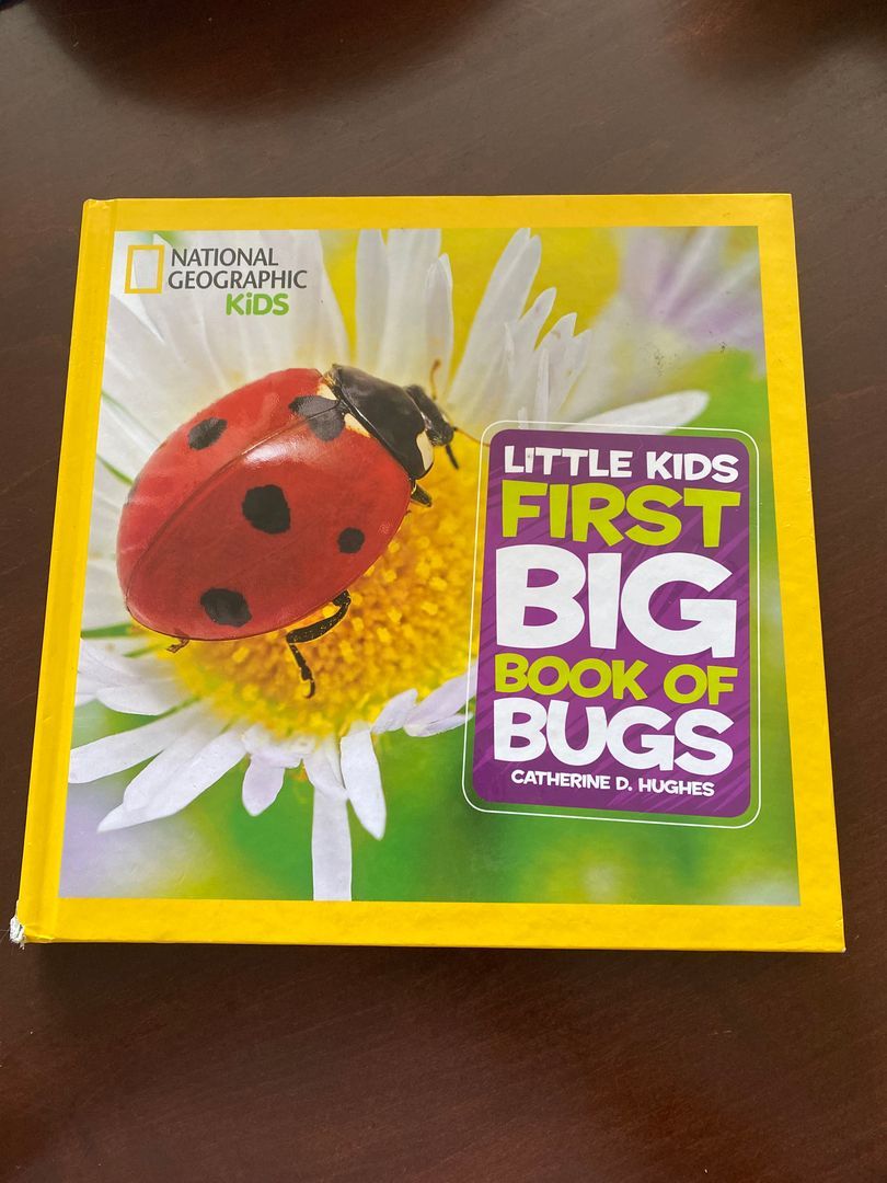 National Geographic Little Kids First Big Book of Bugs